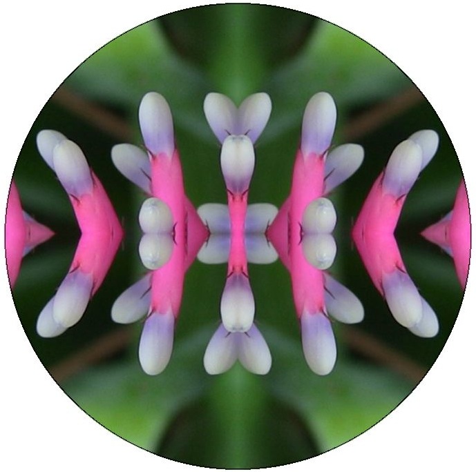 Abstract Pinback Buttons and Stickers