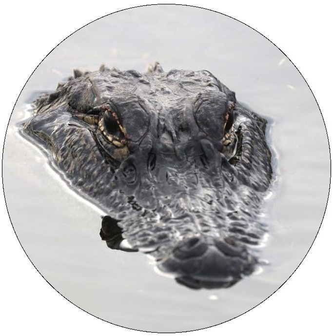 Alligator and Crocodile Pinback Buttons and Stickers