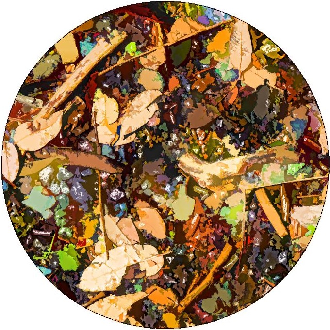 Autumn Leaves Pinback Buttons and Stickers