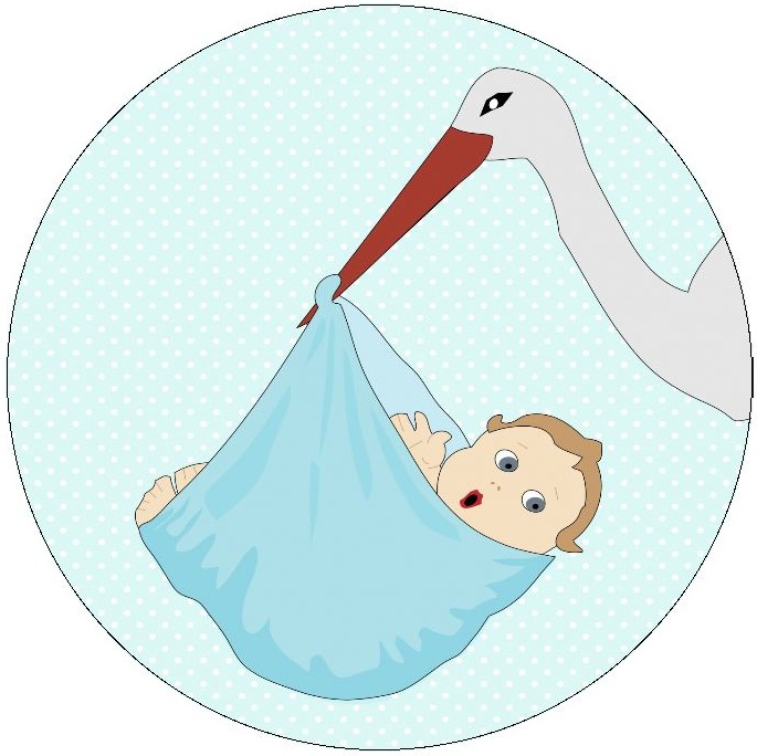 Stork Baby Boy Pinback Buttons and Stickers