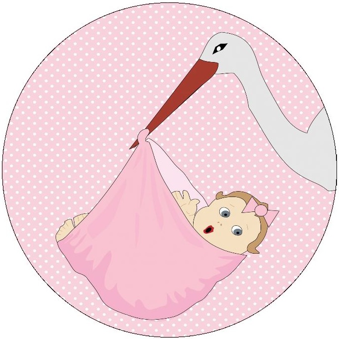 Stork with Baby Girl Pinback Buttons and Stickers