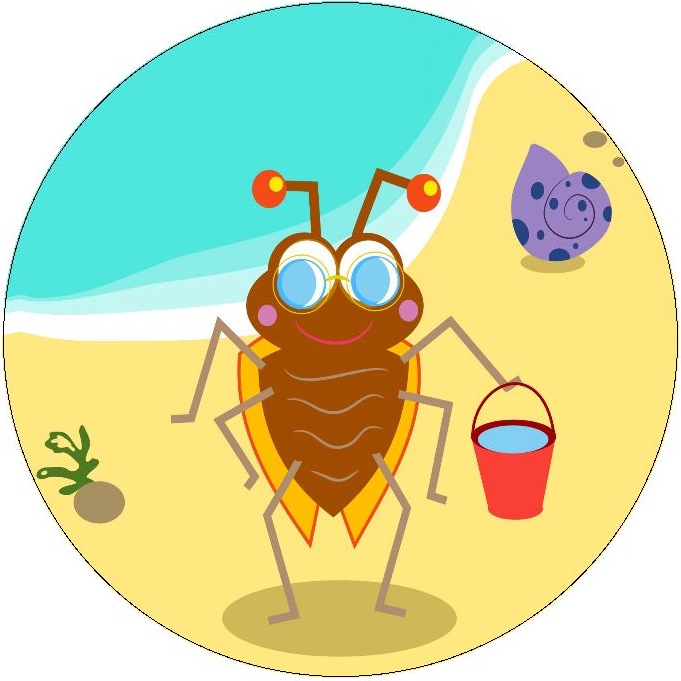 Beach Bug Pinback Buttons and Stickers