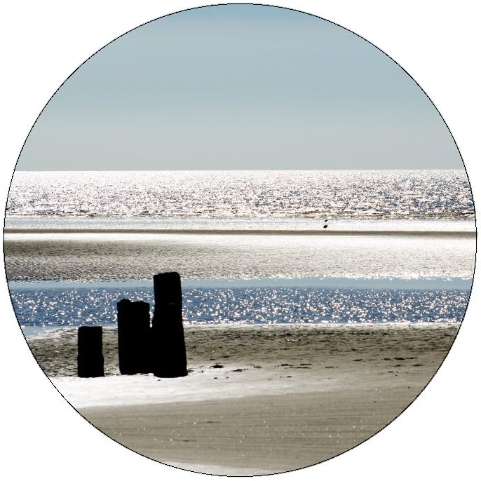 Beach Pilings Pinback Button and Sticker