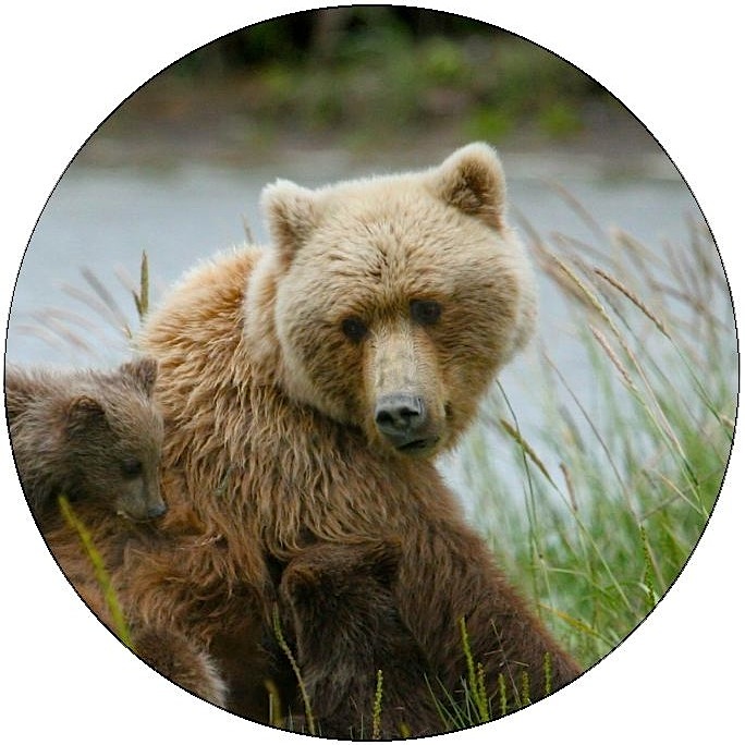 Bear Pinback Buttons and Stickers