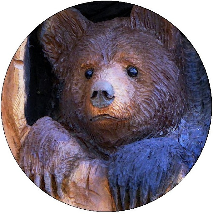 Bear Pinback Buttons and Stickers