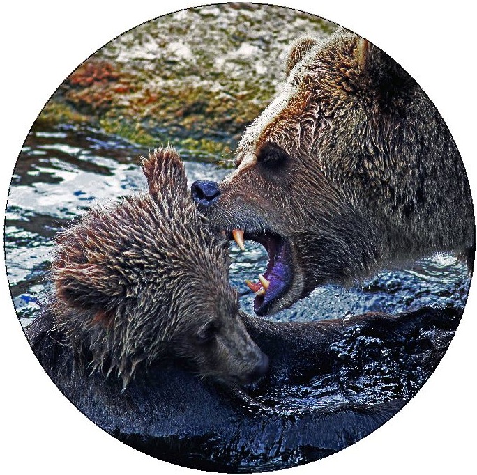 Bear Pinback Buttons and Stickers