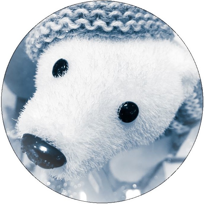 Polar Bear Pinback Buttons and Stickers