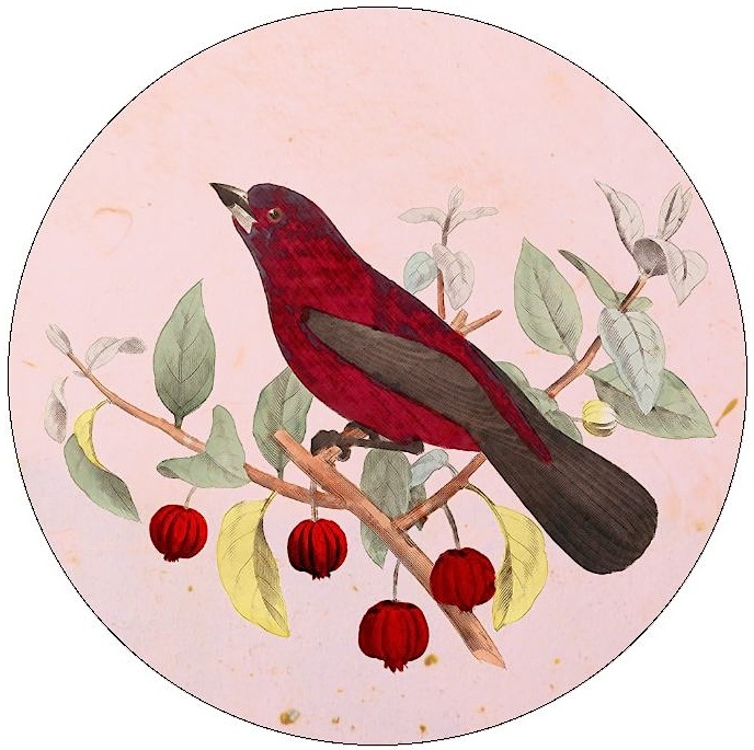 Bird Pinback Buttons and Stickers