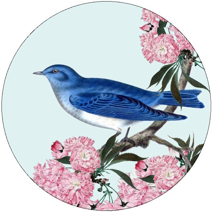 Bird Pinback Buttons and Stickers