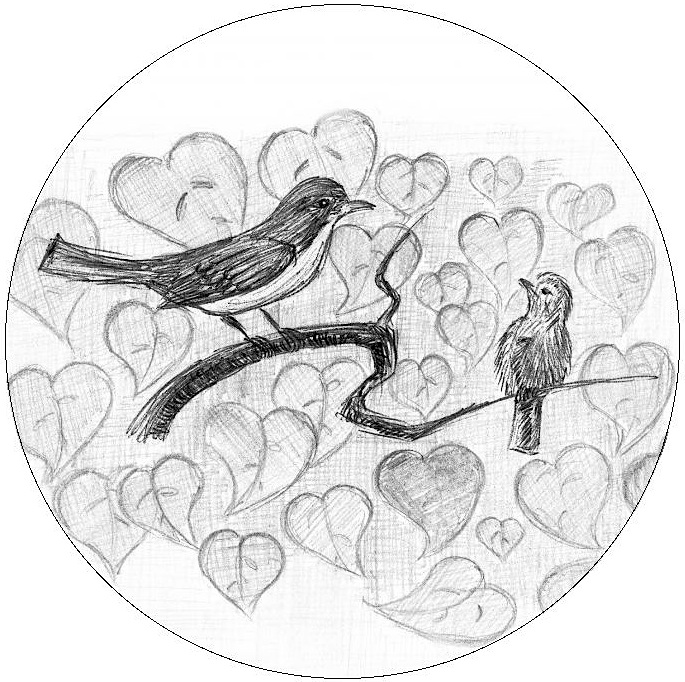 Bird Pencil Drawing Pinback Buttons and Stickers