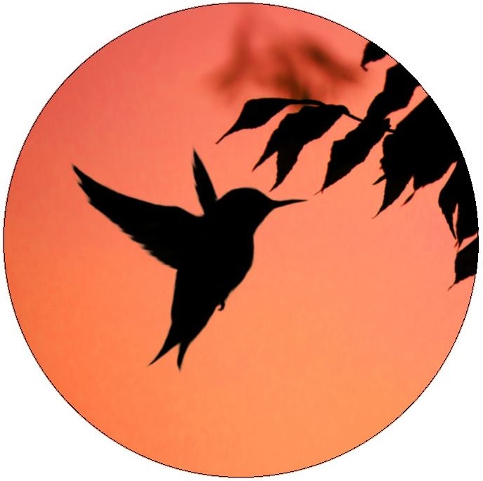 Humming Bird Pinback Buttons and Stickers