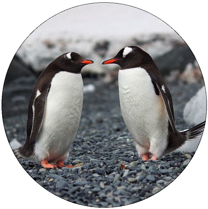 Penguin Pinback Buttons and Stickers