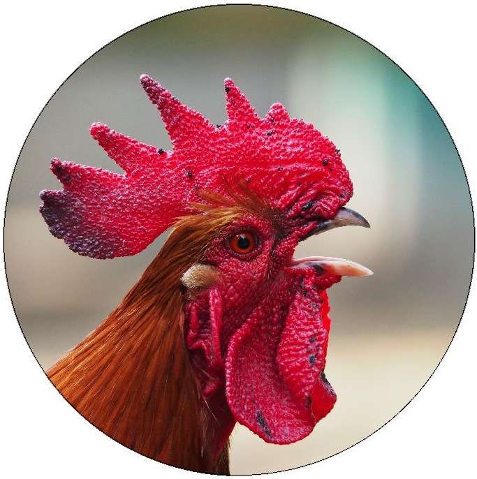 Rooster Pinback Buttons and Stickers