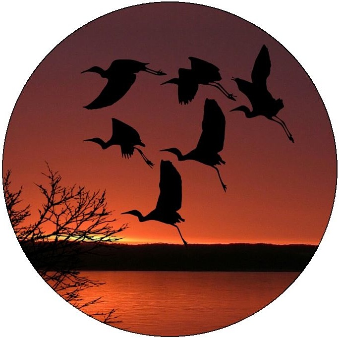 Stork Pinback Buttons and Stickers