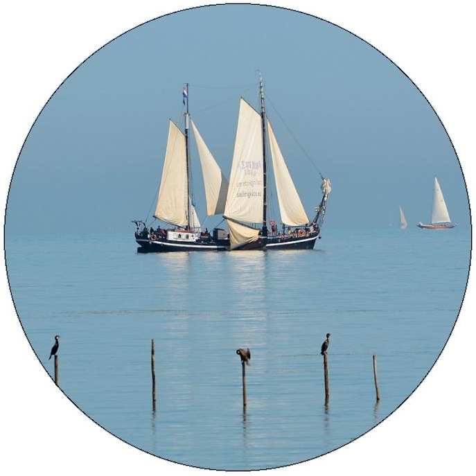 Boat Pinback Buttons and Stickers