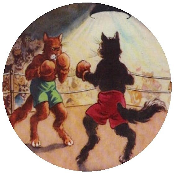 Cats Boxing Pinback Buttons and Stickers