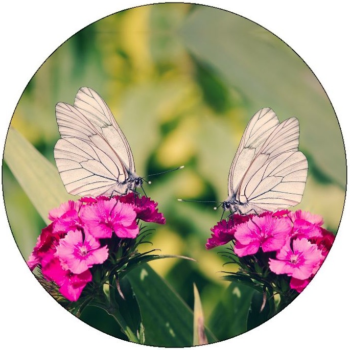 Butterfly Pinback Buttons and Stickers