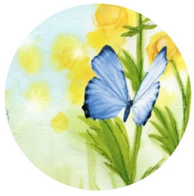 Butterfly Pinback Buttons and Stickers