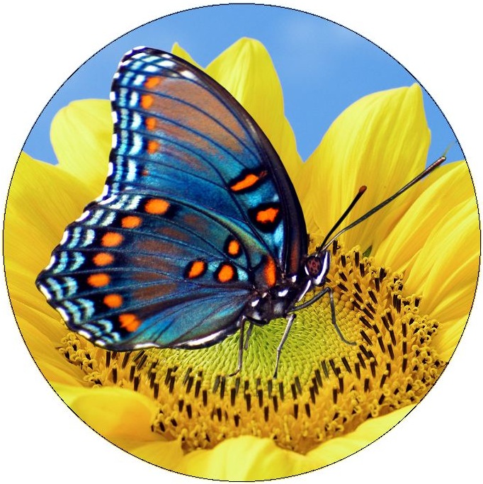 Butterfly Pinback Buttons and Stickers