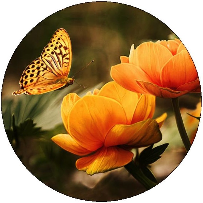 Butterfly Pinback Buttons and Stickers