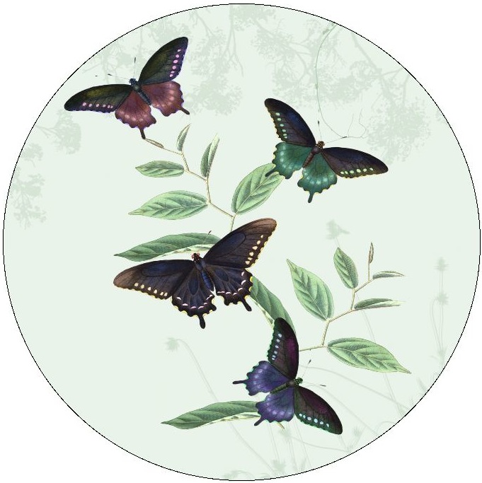 Butterfly Pinback Buttons and Stickers