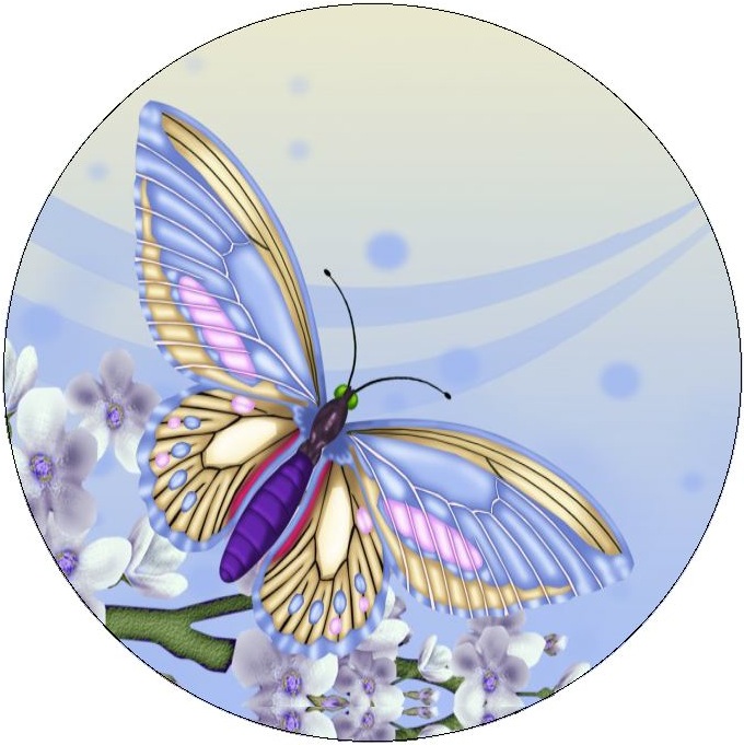 Butterfly Pinback Buttons and Stickers