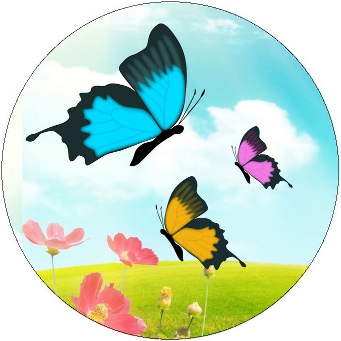 Butterfly Pinback Buttons and Stickers