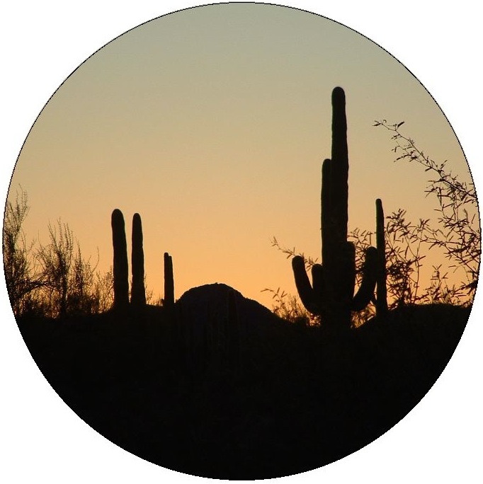 Cactus Pinback Buttons and Stickers
