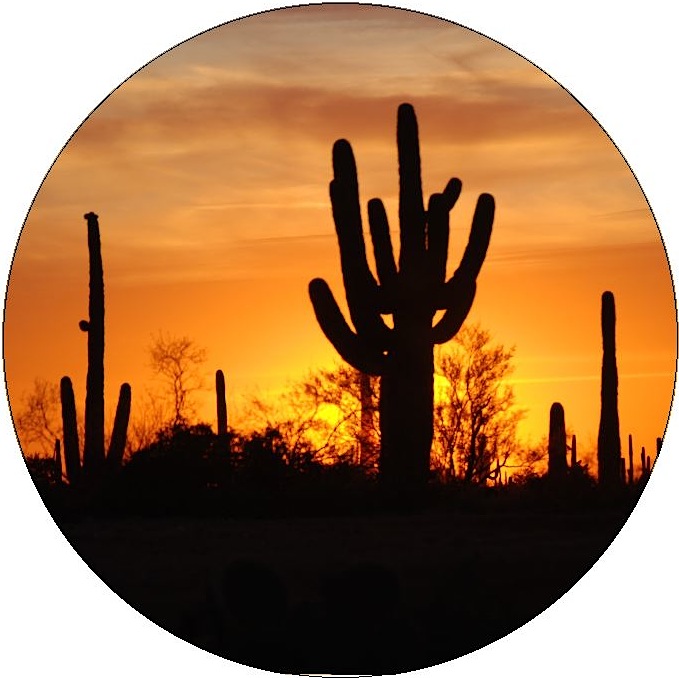 Cactus Pinback Buttons and Stickers