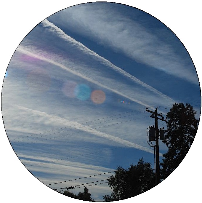 Chemtrails Pinback Buttons and Stickers