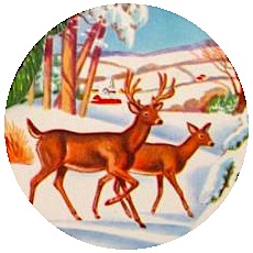 Raindeer Pinback Buttons and Stickers
