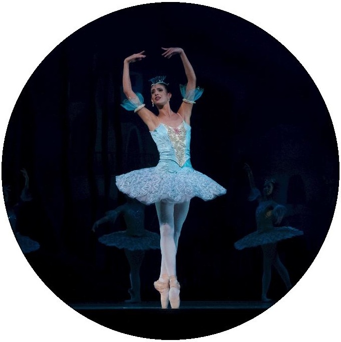 Ballerina Dance Pinback Buttons and Stickers