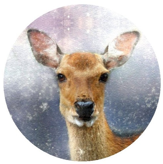 Deer Pinback Buttons and Stickers