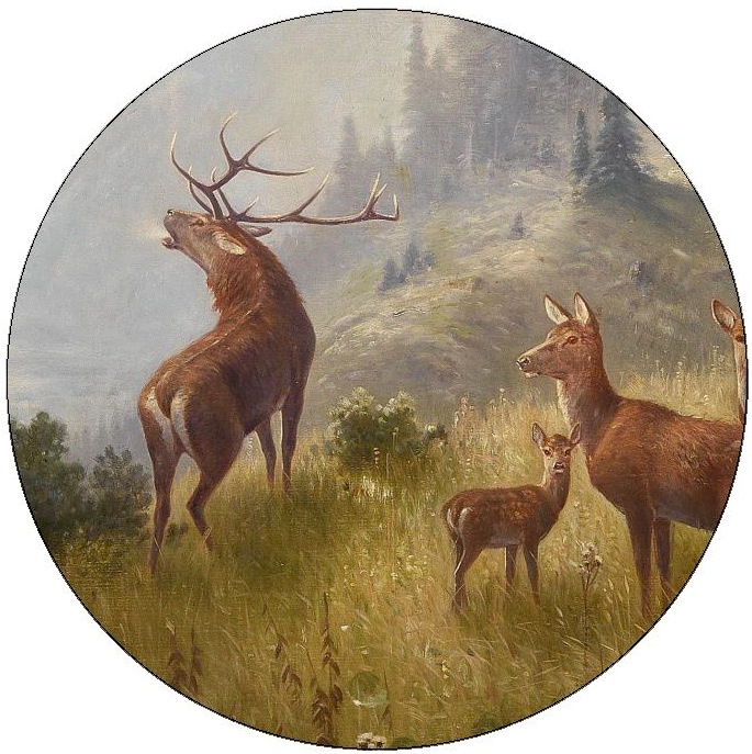 Deer and Elk Pinback Buttons and Stickers