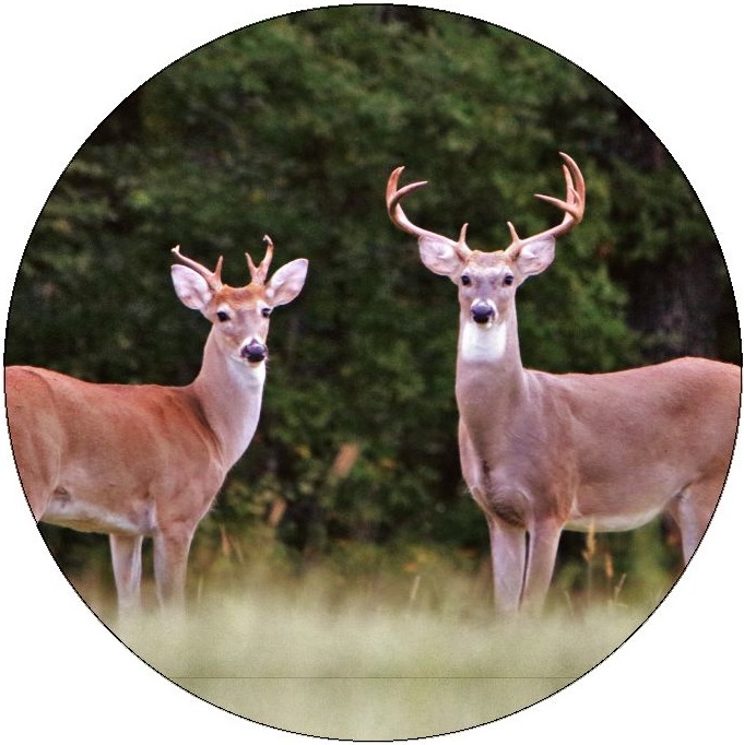 Deer Pinback Buttons and Stickers