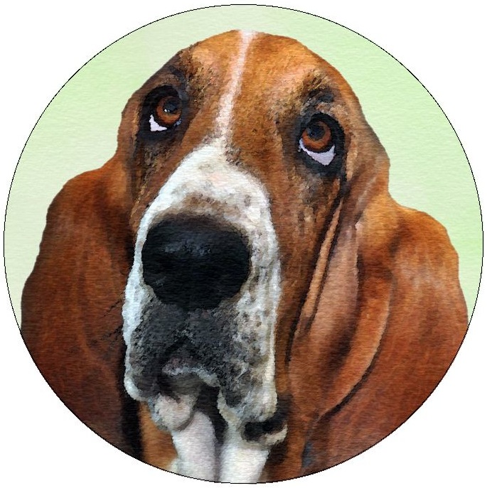 Basset Hound Pinback Buttons and Stickers