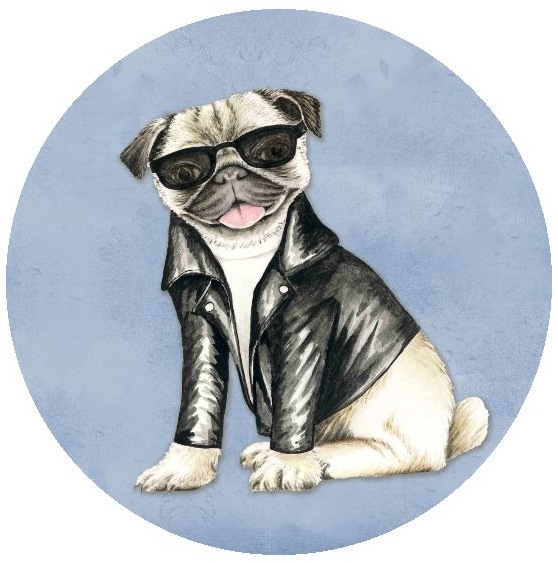 Dog Photo Pinback Buttons and Stickers