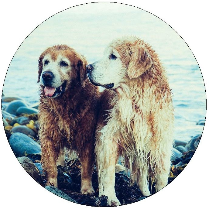 Dog Photo Pinback Buttons and Stickers