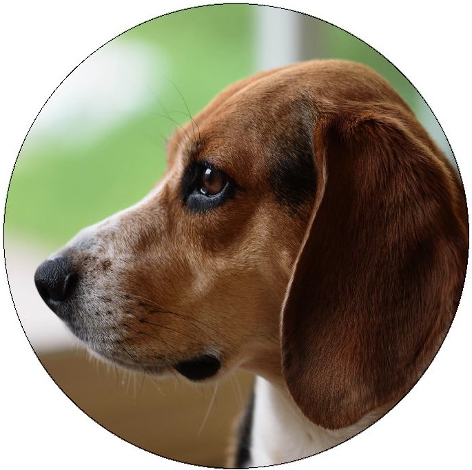 Dog Photo Pinback Buttons and Stickers