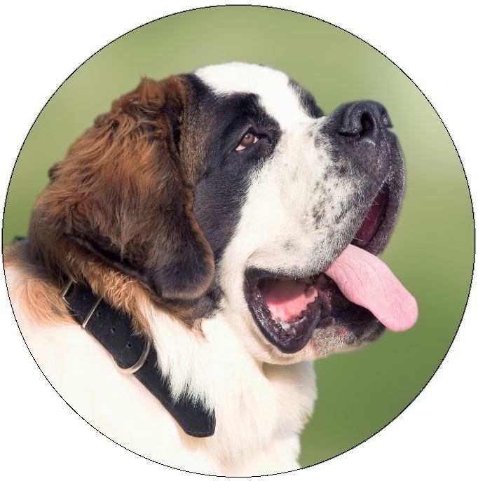 Dog Photo Pinback Buttons and Stickers