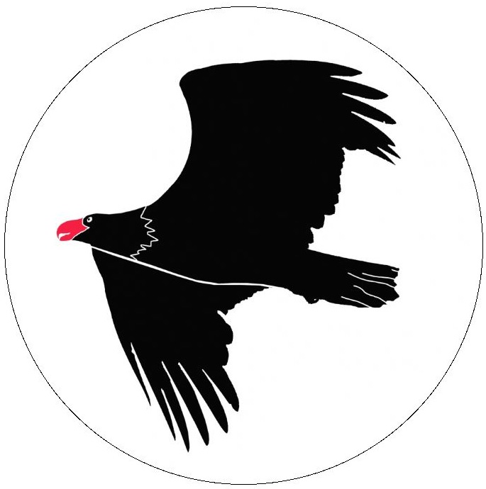 Eagle Silhouette Pinback Buttons