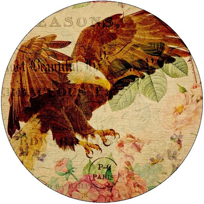 Eagle Postcard Pinback Buttons