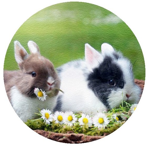 Easter Pinback Buttons and Stickers