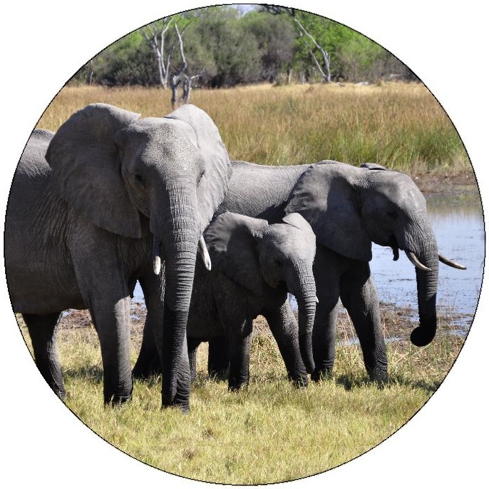 Elephant Pinback Buttons and Stickers