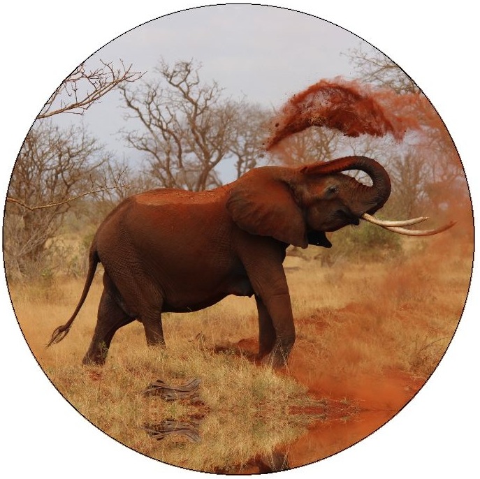 Elephant Pinback Buttons and Stickers