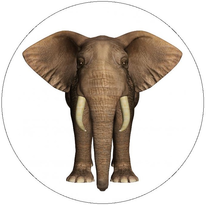 Elephant Art Pinback Buttons and Stickers