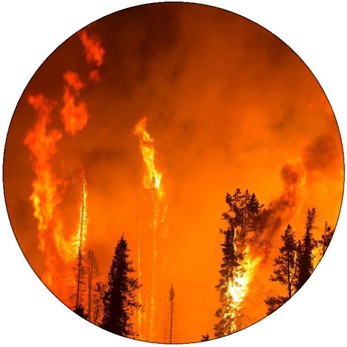 Forest Fire Pinback Buttons and Stickers