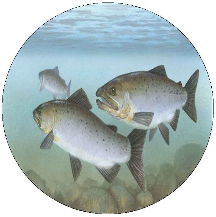 Fish Pinback Buttons and Stickers