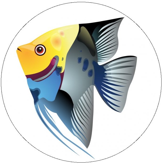 Fish Pinback Buttons and Stickers