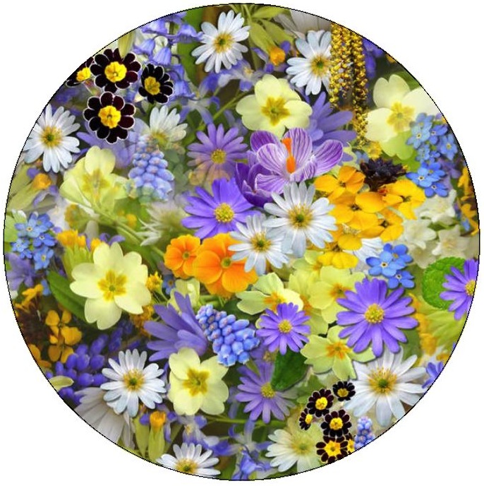 Flower Pinback Buttons and Stickers